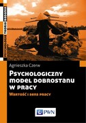 9788301192242 Psychologiczny model dobrostanu w pracy Czerw Agnieszka Wydawnictwo Naukowe PWN