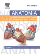 Anatomia narządów wewnętrznych i układu nerwowego człowieka - zdjęcie 2
