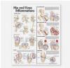 9780781773454 Hip and Knee Inflammations Anatomical Chart Anatomical Chart Company Lippincott Williams & Wilkins