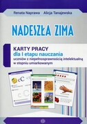 9788371348723 Nadeszła zima Karty pracy dla I etapu nauczania uczniów z niepełnosprawnością intelektualną w stopniu umiarkowanym Naprawa Renata, Tanajewska Alicja Harmonia