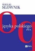 9788301229740 Wielki słownik języka polskiego Tom 3 Wydawnictwo Naukowe PWN