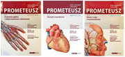 978-83-60466-67-4 PROMETEUSZ Atlas Anatomii Człowieka - Komplet tomów Nomenklatura Łacińska praca zbiorowa MedPharm