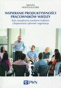 9788301185350 Wspieranie produktywności pracowników wiedzy Wojtczuk-Turek Agnieszka Wydawnictwo Naukowe PWN