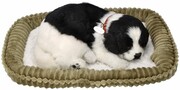 Border Collie Szczeniaczek oddychający do adopcji Perfect Petzzz