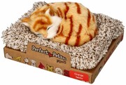Perfect Petzzz Mały kociak pręgowany rudy Perfect Petzzz