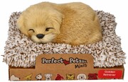Szczekający Golden Retriver na legowisku Perfect Petzzz