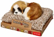 Szczekający Mini Bernardyn na legowisku Perfect Petzzz