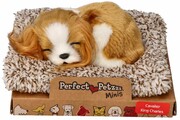 Śpiący szczeniaczek Cavalier King Charles Perfect Petzzz Perfect Petzzz