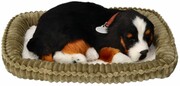 Perfect Petzzz Oddychający Berneńczyk do zaadoptowania Perfect Petzzz