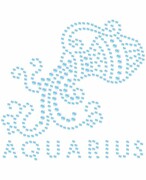Naprasowanki Naplamki z cyrkoniami - Wodnik - znaki zodiaku Naplamki