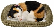 Zaadoptuj mnie Kociak oddychający trójkolorowy Perfect Petzzz