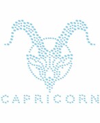 Naprasowanki Naplamki z cyrkoniami - Koziorożec- znaki zodiaku Naplamki