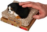 Perfect Petzzz Mały berneńczyk na legowisku Perfect Petzzz