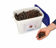 Makuch mix 3kg Equzja