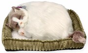 Oddychający Kociak Ragdoll Perfect Petzz Perfect Petzzz