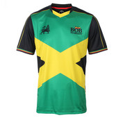 koszulka męska sportowa BOB MARLEY - IRON LION - GREEN/BLACK - AMPLIFIED - ZAV666001 AMPLIFIED