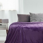 Laris Polska Koc MICHAŁ mikrofibra - różne kolory