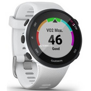 Zegarek sportowy GPS Garmin Forerunner 45s - zdjęcie 1