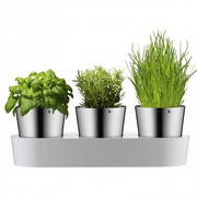 Zestaw 3 doniczek na zioła WMF 641306040 WMF