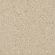 Paradyż Bazo Beige Sól-Pieprz 19,8x19,8