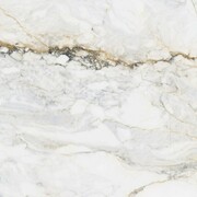 Pamesa Pisa Gold Satyna 60x60