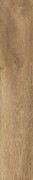 Cerrad Tramonto Beige 11x60