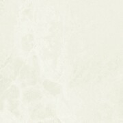 Domino Biloba Ivory 59,8x59,8