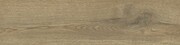 Stargres Pinea Beige 15,5x62