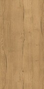 ATEM Forest YLM 60x120