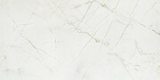 Domino Rainforest white GLOSS 59,8x119,8