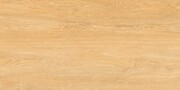 Cerrad Neosimple Beige 59,7x119,7