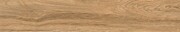 Corson Gold 20x120
