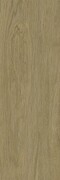 Paradyż Decorwood Honey 20x60