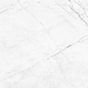 Elder White Carving 60x60