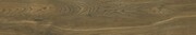 Cerrad Giornata Marrone 11x60