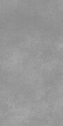 Paradyż Architeq Grey 20mm 59,5x119,5