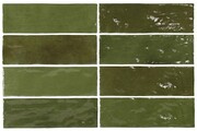 Equipe La Riviera Botanical Green 6,5x20