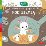 9788327672117 Pod ziemią Akademia mądrego dziecka Niesamowity spacer Choux Nathalie