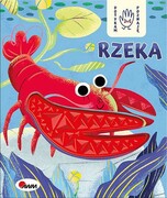 9788381811279 Dotykam poznaję Rzeka Wiśniewska Joanna