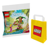 5702017591612 [Zestaw] LEGO DISNEY 30671 Leśny plac zabaw Aurory + LEGO Torba papierowa mała 6315786 Lego