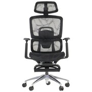 Ergonomiczne krzesło obrotowe/biurowe ErgoNew A1F Z PODNÓŻKIEM - regulowane oparcie, podłokietniki i zagłówek, siedzisko siatkowe, podstawa aluminiowa