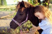 Obóz konny dla dzieci w górach - PonyLand - Kotlina Kłodzka - Nowy Gierałtów - tylko dla najmłodszych 7-11 lat