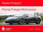 WYJĄTKOWY PREZENT Pakiet Przeżyć Poznaj Potęgę Motoryzacji Pakiet Przeżyć Poznaj Potęgę Motoryzacji WYJĄTKOWY PREZENT