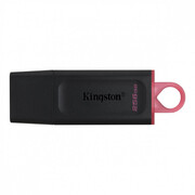 Kingston 256GB DataTraveler Exodia (USB 3.2 Gen 1) Kingston