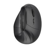 Silver Monkey Premium Ergonomic Wireless Comfort Mouse Silent Silver Monkey