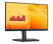 Dell Pro E2225HSM Dell