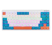 Tracer FINA 84 White/Blue Tracer