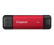 Kingston 1TB DualPortable Kingston