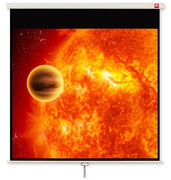 Avtek Ekran ręczny 113' 230x172,5 4:3 Biały Matowy Avtek