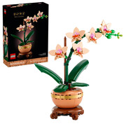LEGO Botanicals 10343 Mała orchidea LEGO